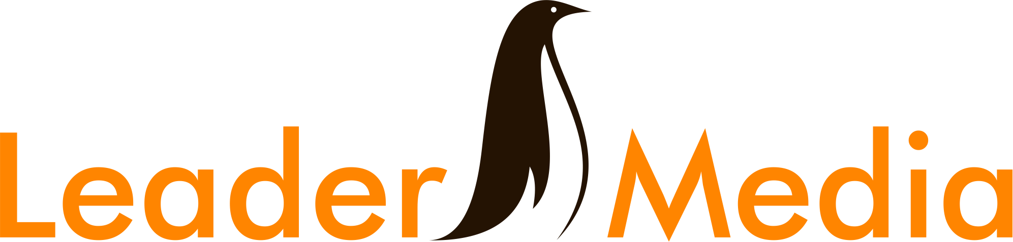 Logo Leader Media Productie Publicitara